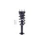 FCS Struts 1355071 Suspension Strut and Coil Spring Assembly