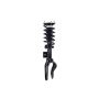 FCS Struts 1355075L Suspension Strut and Coil Spring Assembly