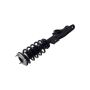 FCS Struts 1355075L Suspension Strut and Coil Spring Assembly