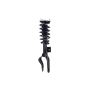 FCS Struts 1355075R Suspension Strut and Coil Spring Assembly