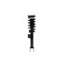 FCS Struts 1355076L Suspension Strut and Coil Spring Assembly