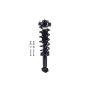 FCS Struts 1355103 Suspension Strut and Coil Spring Assembly