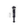 FCS Struts 1355103 Suspension Strut and Coil Spring Assembly