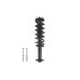 FCS Struts 1355106 Suspension Strut and Coil Spring Assembly