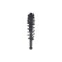 FCS Struts 1355107 Suspension Strut and Coil Spring Assembly
