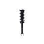 FCS Struts 1355123L Suspension Strut and Coil Spring Assembly