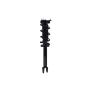 FCS Struts 1355123R Suspension Strut and Coil Spring Assembly