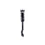 FCS Struts 1355128L Suspension Strut and Coil Spring Assembly