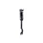 FCS Struts 1355128R Suspension Strut and Coil Spring Assembly