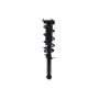 FCS Struts 1355130L Suspension Strut and Coil Spring Assembly