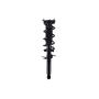 FCS Struts 1355130R Suspension Strut and Coil Spring Assembly
