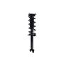 FCS Struts 1355132 Suspension Strut and Coil Spring Assembly