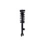 FCS Struts 1355135L Suspension Strut and Coil Spring Assembly