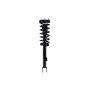 FCS Struts 1355135L Suspension Strut and Coil Spring Assembly