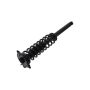FCS Struts 1355136 Suspension Strut and Coil Spring Assembly