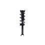 FCS Struts 1355137 Suspension Strut and Coil Spring Assembly