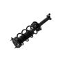 FCS Struts 1355137 Suspension Strut and Coil Spring Assembly