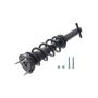 FCS Struts 1355148L Suspension Strut and Coil Spring Assembly