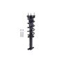 FCS Struts 1355148R Suspension Strut and Coil Spring Assembly