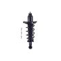 FCS Struts 1355158L Suspension Strut and Coil Spring Assembly