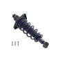 FCS Struts 1355158L Suspension Strut and Coil Spring Assembly