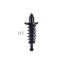 FCS Struts 1355159L Suspension Strut and Coil Spring Assembly