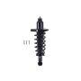 FCS Struts 1355159R Suspension Strut and Coil Spring Assembly