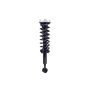 FCS Struts 1355161 Suspension Strut and Coil Spring Assembly