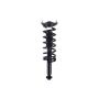 FCS Struts 1355162L Suspension Strut and Coil Spring Assembly