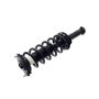 FCS Struts 1355162L Suspension Strut and Coil Spring Assembly
