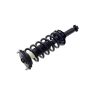 FCS Struts 1355162R Suspension Strut and Coil Spring Assembly