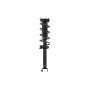 FCS Struts 1355163 Suspension Strut and Coil Spring Assembly