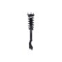 FCS Struts 1355172L Suspension Strut and Coil Spring Assembly