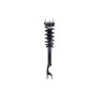 FCS Struts 1355172L Suspension Strut and Coil Spring Assembly