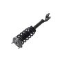 FCS Struts 1355172L Suspension Strut and Coil Spring Assembly