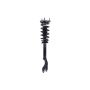 FCS Struts 1355172R Suspension Strut and Coil Spring Assembly