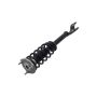 FCS Struts 1355172R Suspension Strut and Coil Spring Assembly