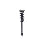 FCS Struts 1355173 Suspension Strut and Coil Spring Assembly