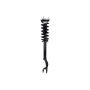 FCS Struts 1355174L Suspension Strut and Coil Spring Assembly