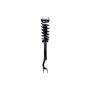 FCS Struts 1355174L Suspension Strut and Coil Spring Assembly