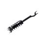 FCS Struts 1355174L Suspension Strut and Coil Spring Assembly