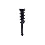 FCS Struts 1355175L Suspension Strut and Coil Spring Assembly