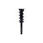 FCS Struts 1355175L Suspension Strut and Coil Spring Assembly