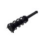 FCS Struts 1355175L Suspension Strut and Coil Spring Assembly