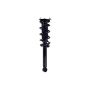 FCS Struts 1355175R Suspension Strut and Coil Spring Assembly