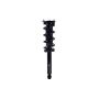 FCS Struts 1355175R Suspension Strut and Coil Spring Assembly