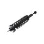 FCS Struts 1355177L Suspension Strut and Coil Spring Assembly
