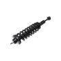 FCS Struts 1355177R Suspension Strut and Coil Spring Assembly