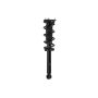 FCS Struts 1355178L Suspension Strut and Coil Spring Assembly