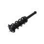 FCS Struts 1355178L Suspension Strut and Coil Spring Assembly
